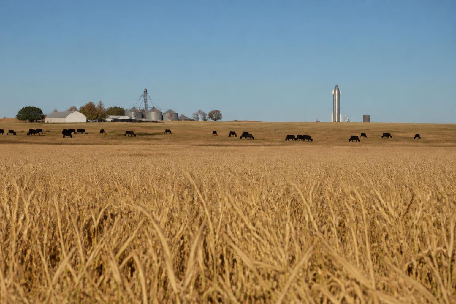 Montana Wheat Market Outlook: Assessing Supply and Logistics as Harvest Winds Down - AgroPost