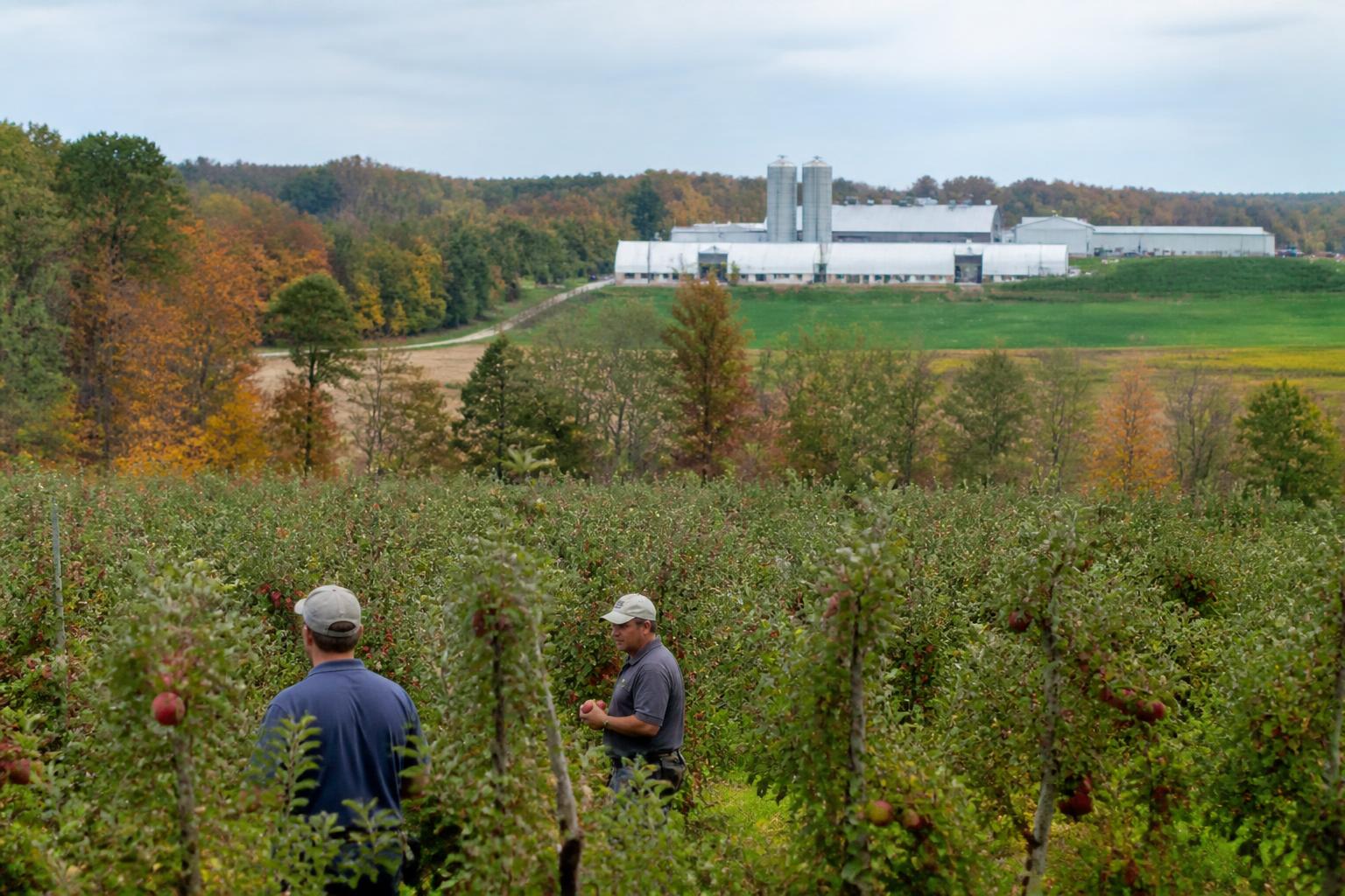 Supply Chain Shifts and Infrastructure Growth Define Georgia's Fall Ag Landscape - AgroPost