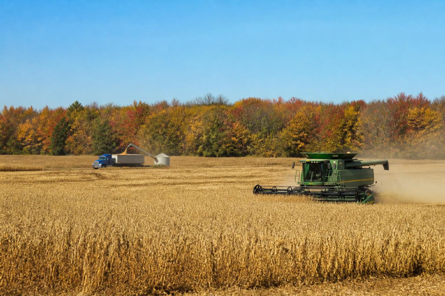 Hawaii Agriculture Navigates High Costs and Resource Management Challenges This Fall