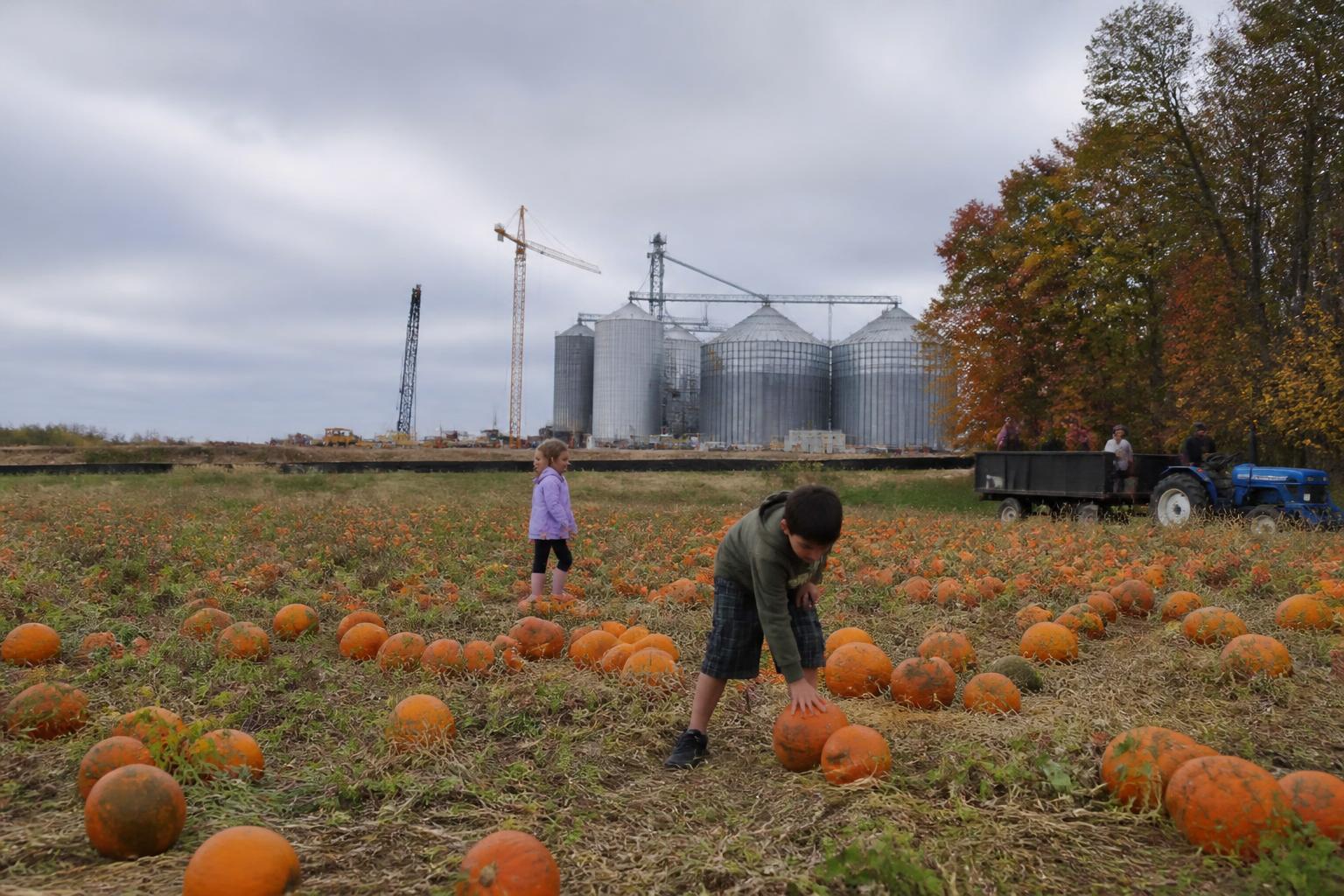 South Carolina Fertilizer Outlook: Navigating Input Cost Volatility This Fall