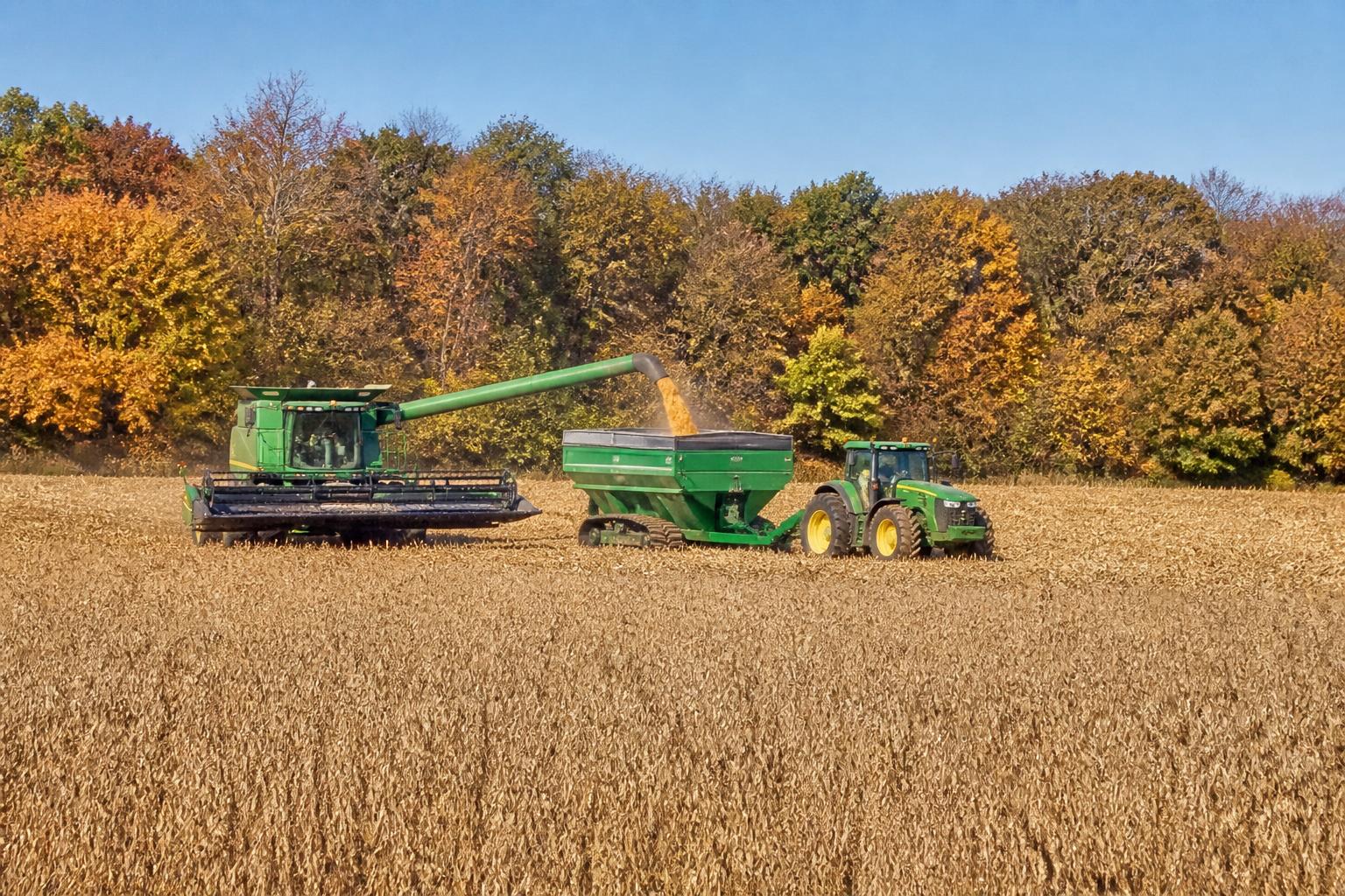 Illinois Weed Management: Navigating Herbicide Resistance as Fall Approaches