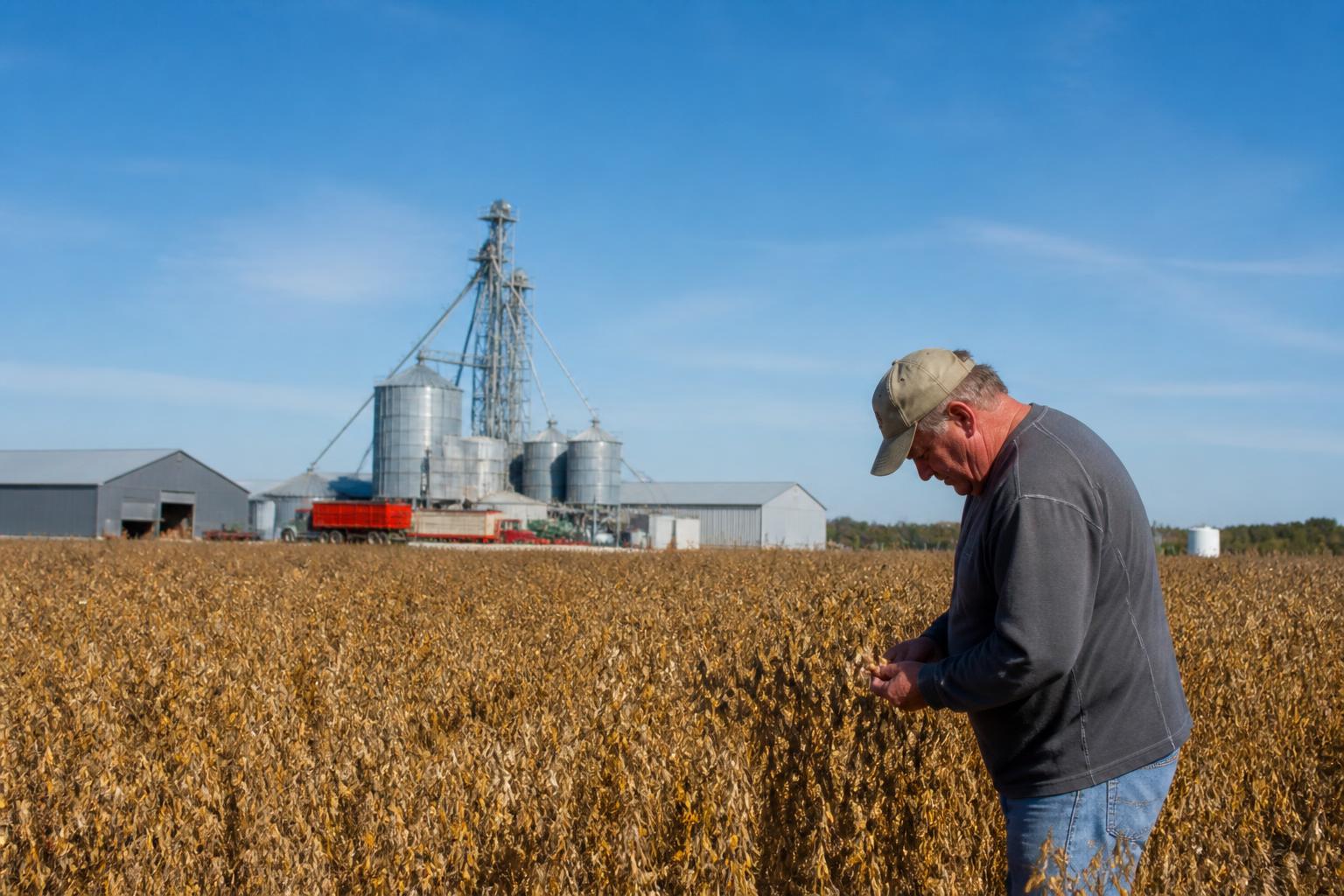 North Carolina Ag-Logistics: Navigating Seasonal Harvest Flow and Infrastructure Constraints - AgroPost