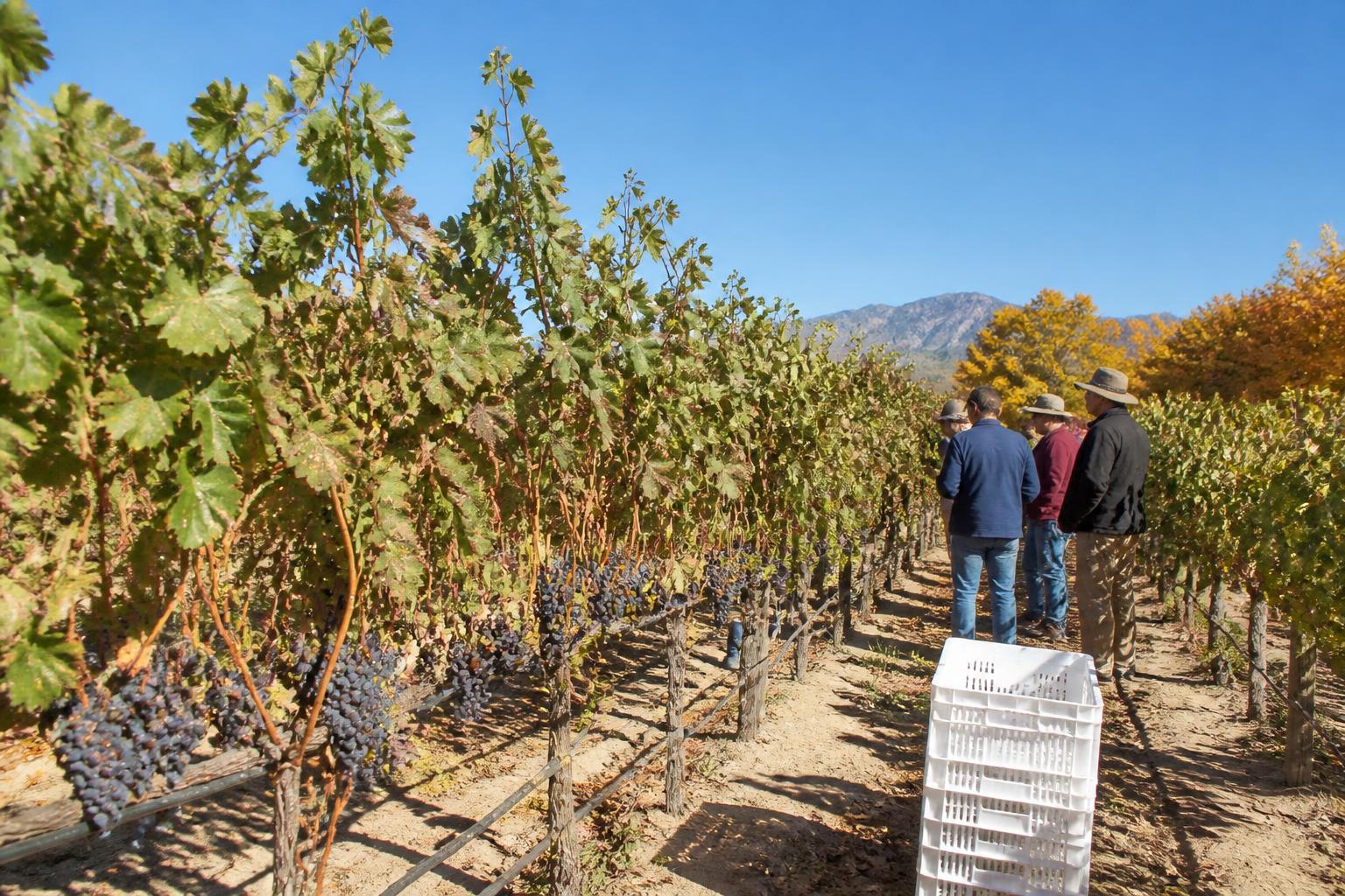 New Mexico Producers Weigh Regulatory Shifts as Fall Season Approaches