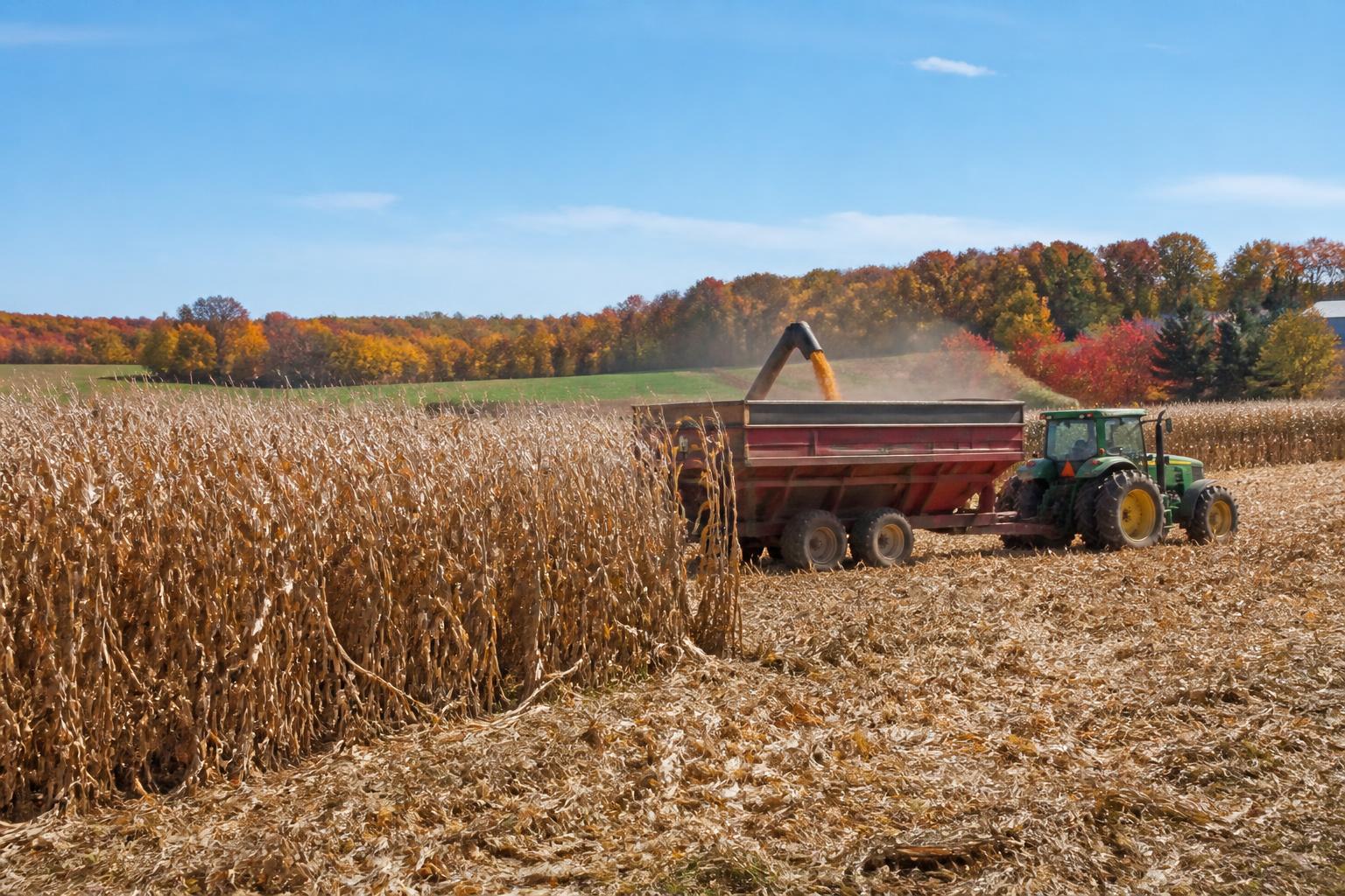 Pennsylvania Producers Eye Conservation Credits and Seasonal Market Shifts