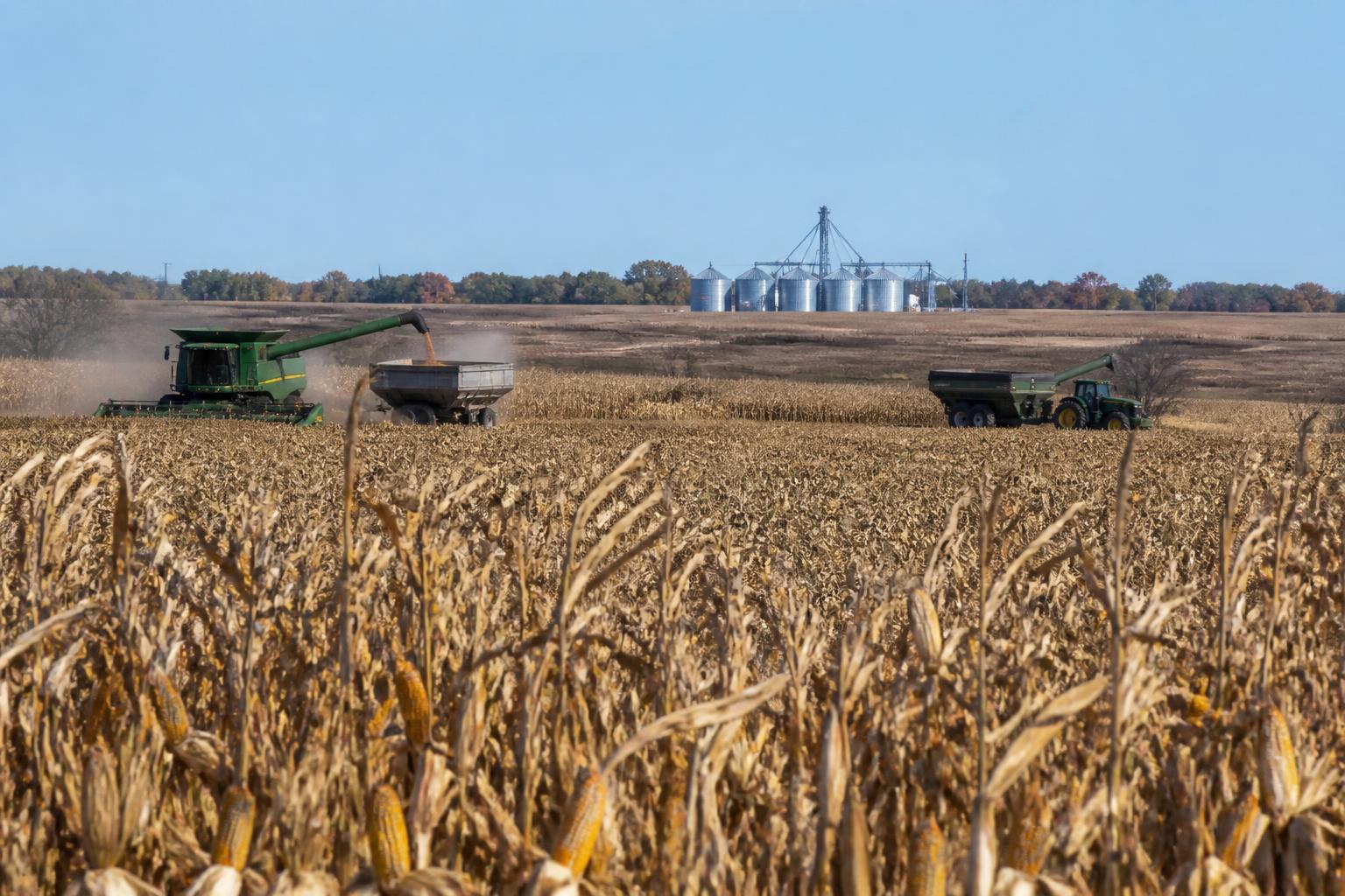 Texas Grain Logistics: Preparing for Fall Export Shifts - AgroPost