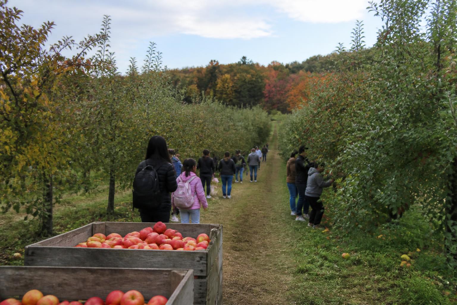 Rhode Island Fertilizer Outlook: Navigating Input Market Pressures This Fall - AgroPost