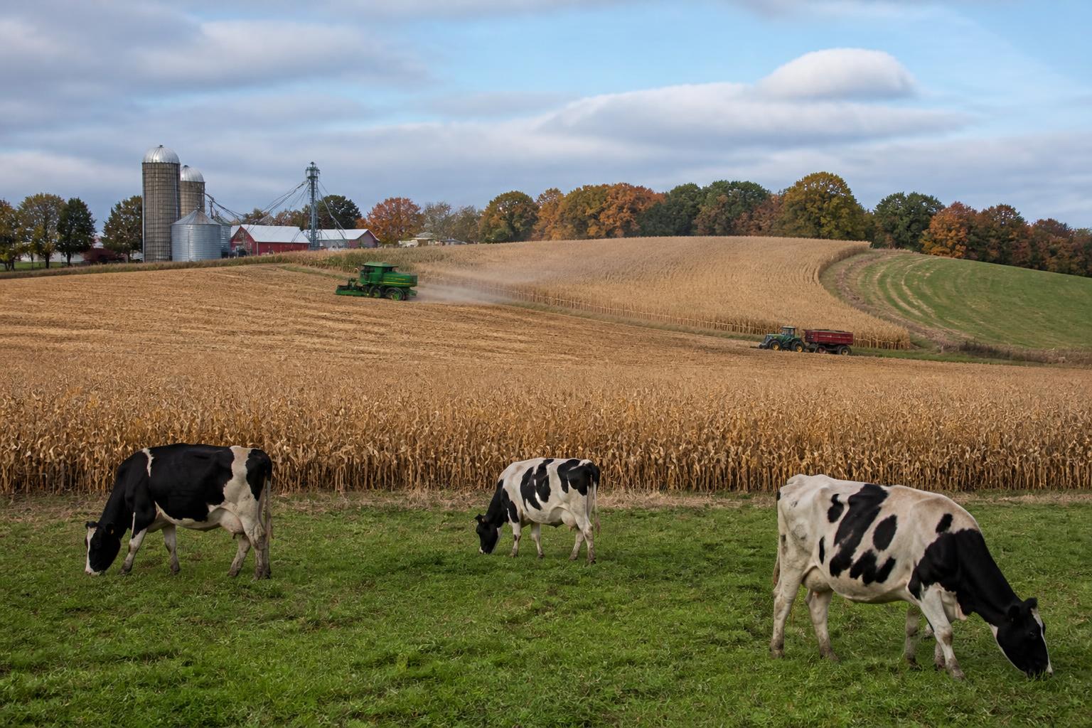 Navigating Late-Season Market Pressures for Wisconsin Producers - AgroPost