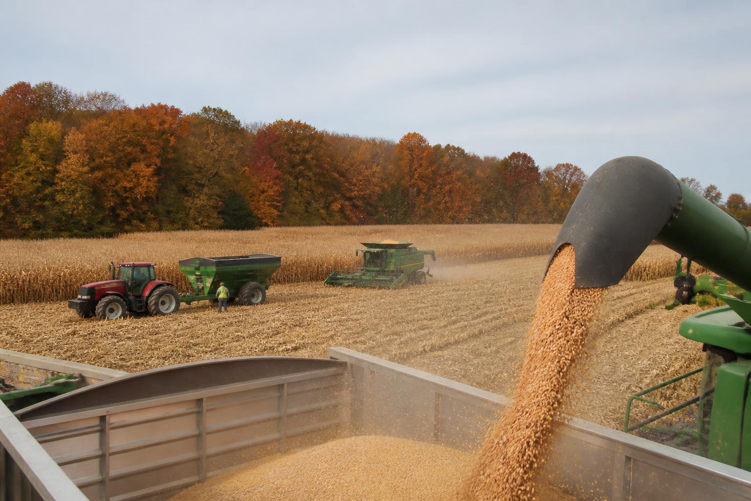 Strategic Asset Shifts in Florida Crop Protection Markets - AgroPost