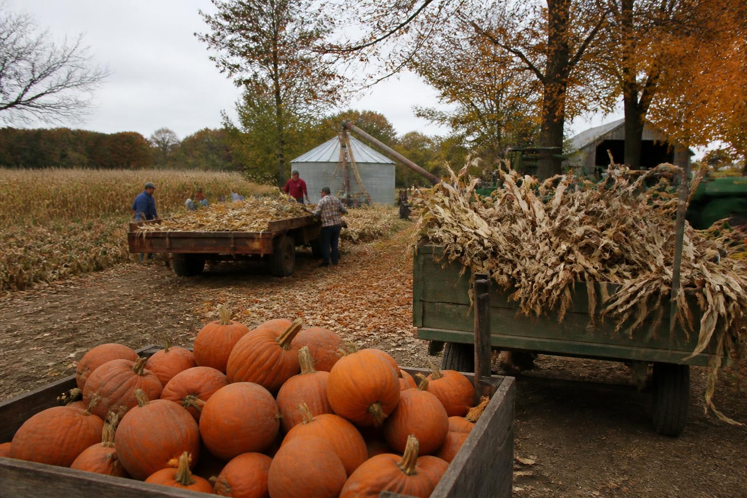 Tennessee Harvest Update: Managing Operating Costs and Logistical Shifts - AgroPost