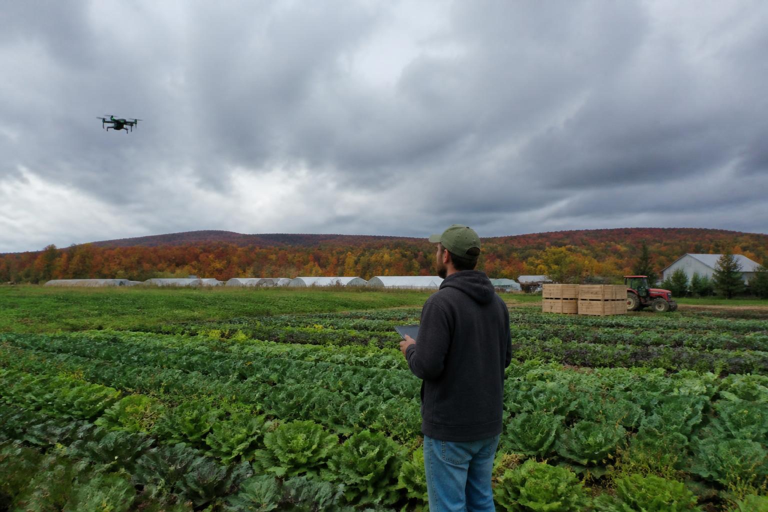 Maine Harvest Challenges: Navigating Wet Conditions and Operational Hurdles - AgroPost