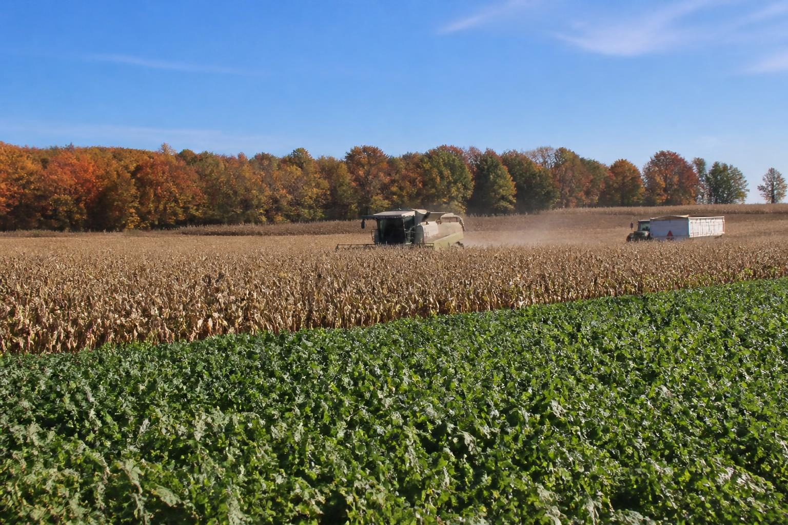 Navigating Operational Risks in Montana Agriculture: A Strategic Outlook - AgroPost