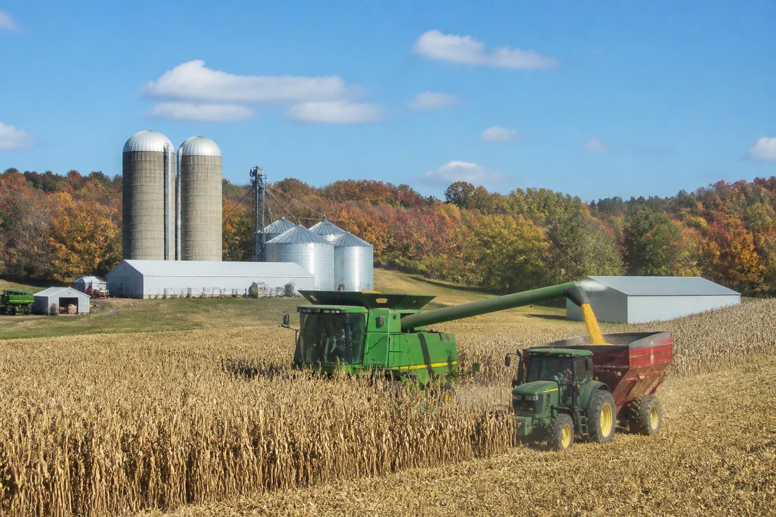 Managing Farm Risk and Protection Strategies in Alaska's Fall Window