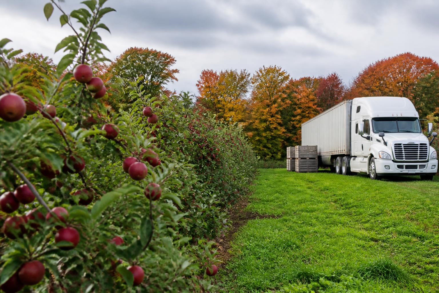 Michigan Harvest Logistics: Managing Seasonal Freight Pressures and Costs - AgroPost