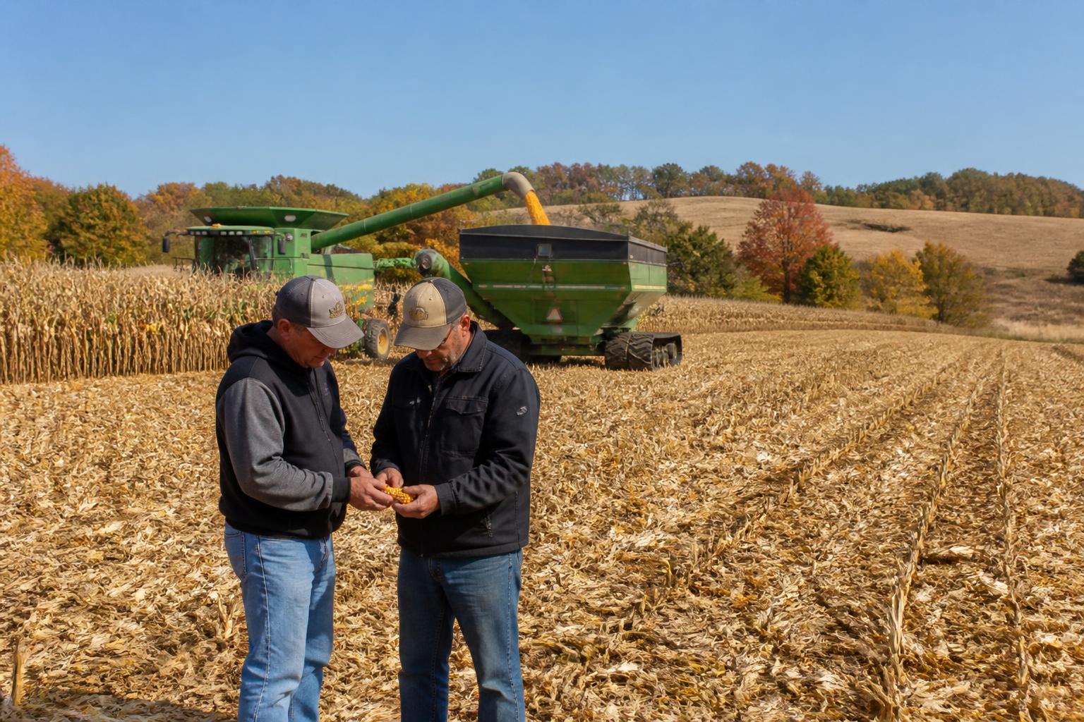 Texas Grain Markets: Managing Mid-Harvest Logistics and Volatility - AgroPost