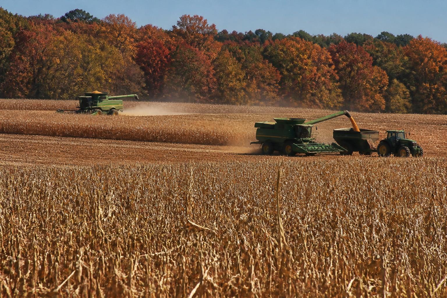 North Carolina Harvest Logistics: Balancing Rising Fuel Costs and Seasonal Traffic - AgroPost