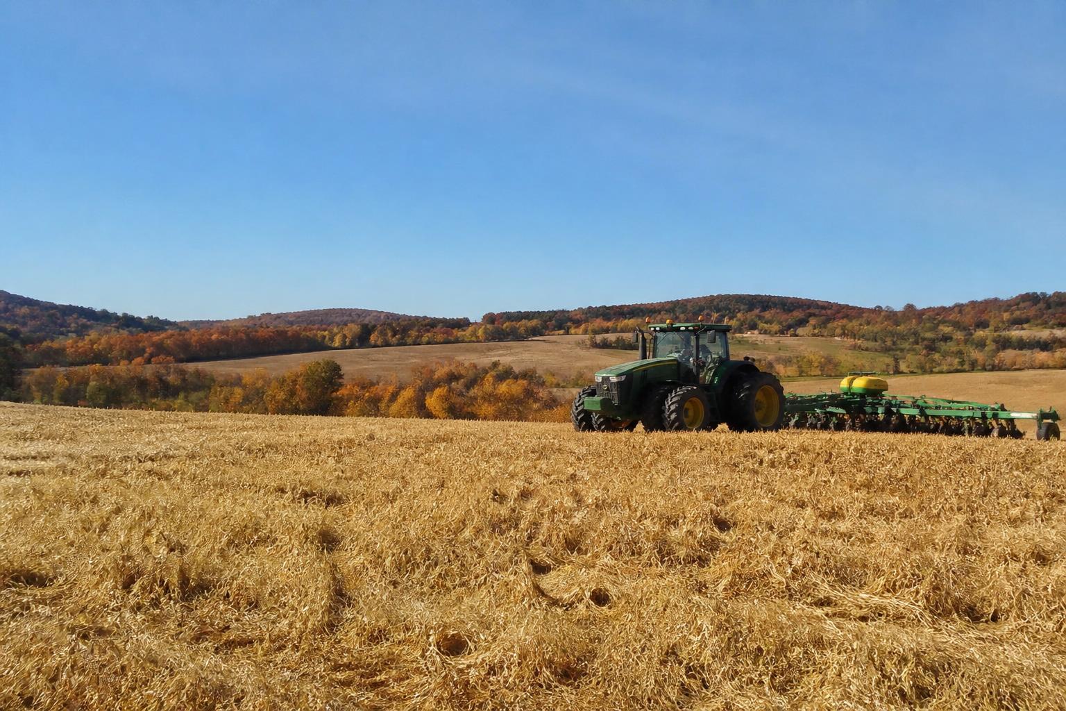 Colorado Grain Markets: Navigating Cash Bids and Operational Shifts in October - AgroPost