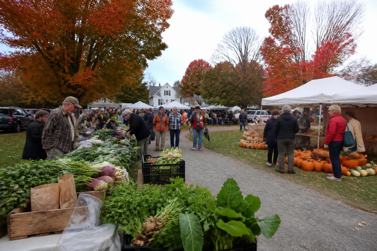 Vermont Farmers Navigate Evolving Regulatory and Market Landscapes - AgroPost