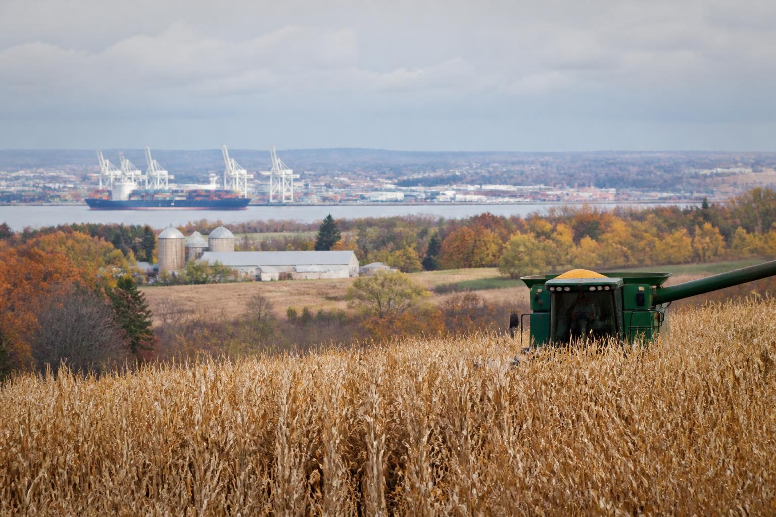 Florida Ag Supply Chain Faces Uncertainty Amid Potential Port Disruptions - AgroPost