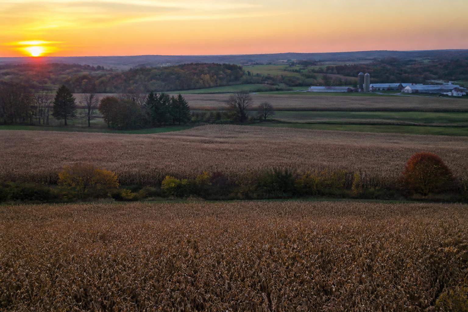 Pennsylvania Grain Markets: Assessing Fall Harvest Progress and Logistics - AgroPost