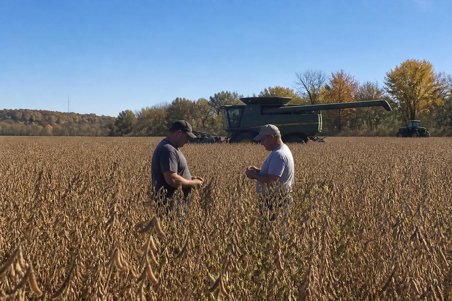 Missouri Harvest Progress: Navigating Field Conditions and Crop Protection - AgroPost