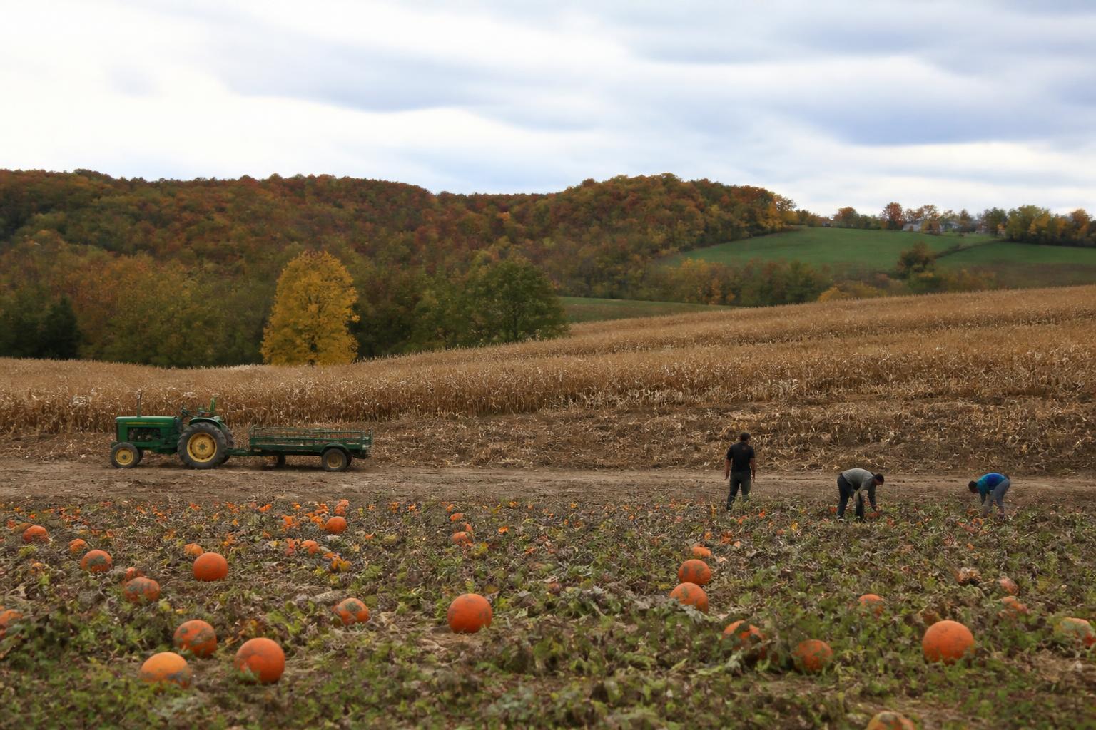 Navigating Financial Headwinds and Operational Costs in West Virginia Agriculture - AgroPost
