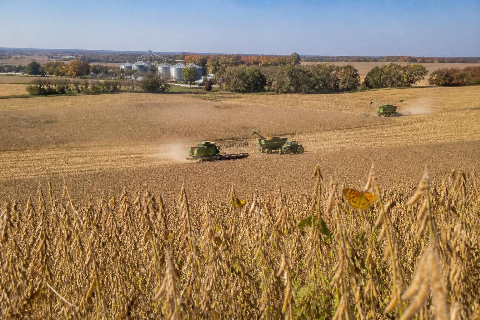 Iowa Harvest Update: Managing Market Pressure and Field Efficiency - AgroPost