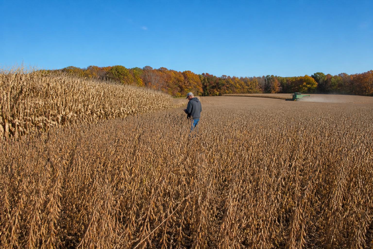 Connecticut Grain Outlook: Navigating Volatility in Early October - AgroPost