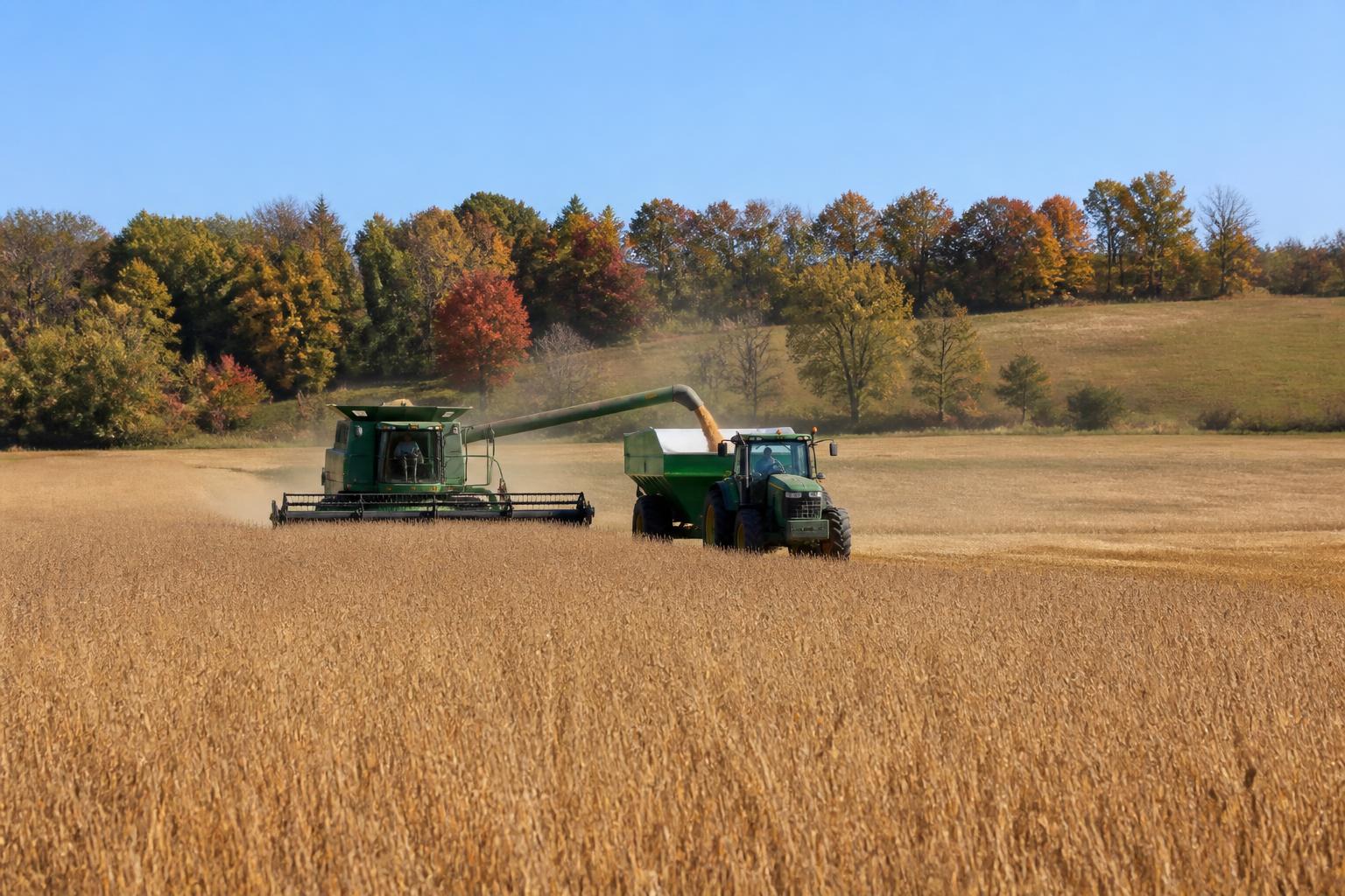 Michigan Harvest Logistics: Managing Seasonal Capacity and Regional Bottlenecks - AgroPost
