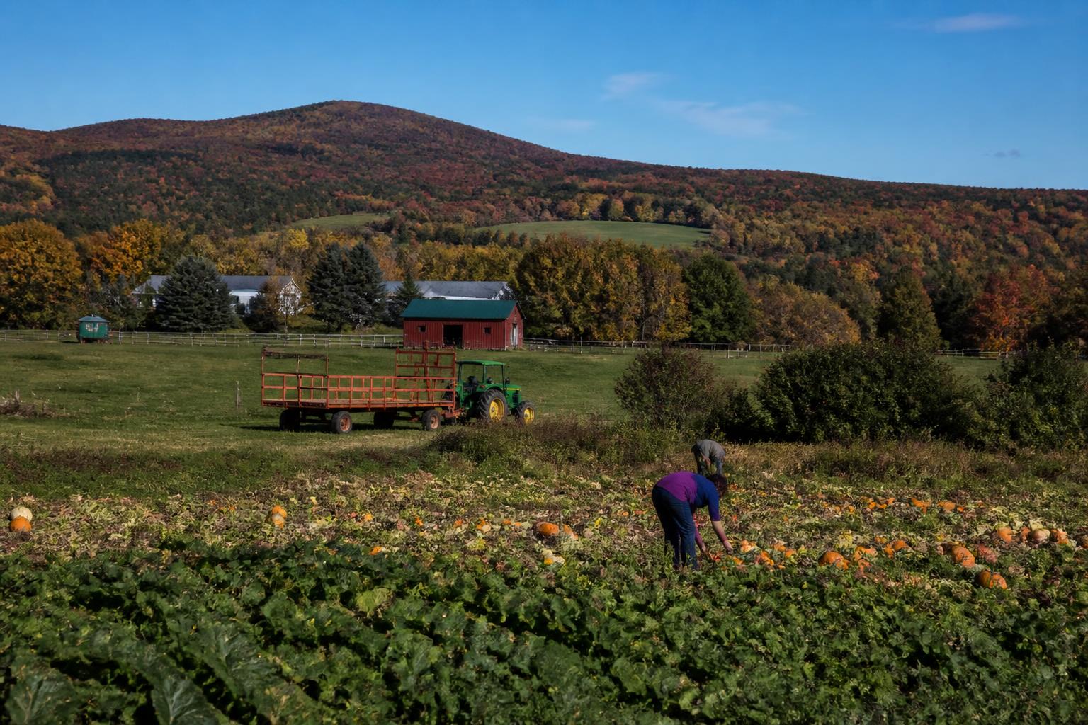Optimizing Fall Storage and Logistics for New Hampshire Growers - AgroPost