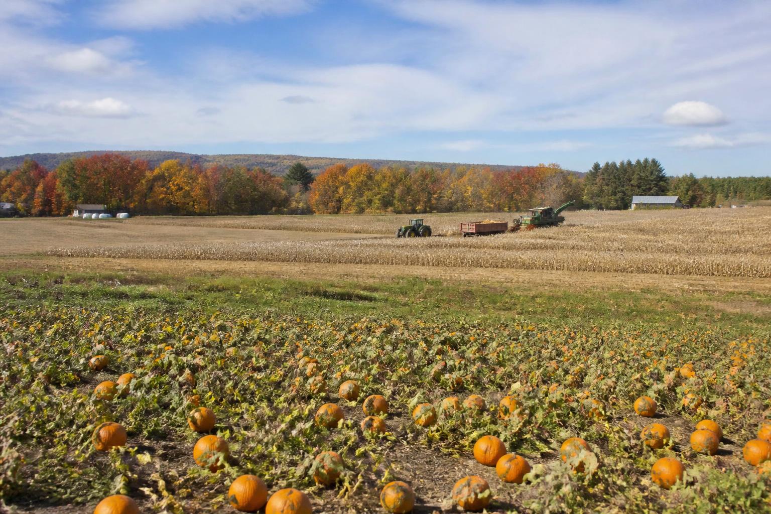 Navigating Fertilizer Dynamics Amid Wisconsin Fall Harvest - AgroPost