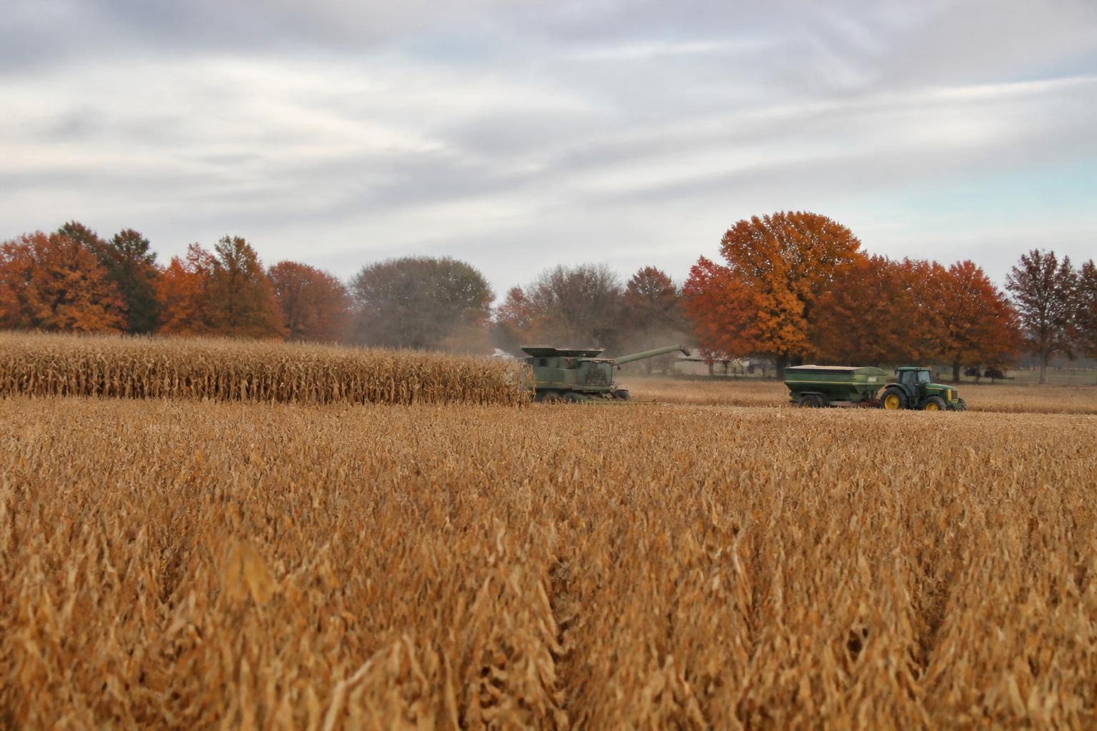 Indiana Ag Logistics: Strengthening Supply Chains as Fall Harvest Approaches - AgroPost