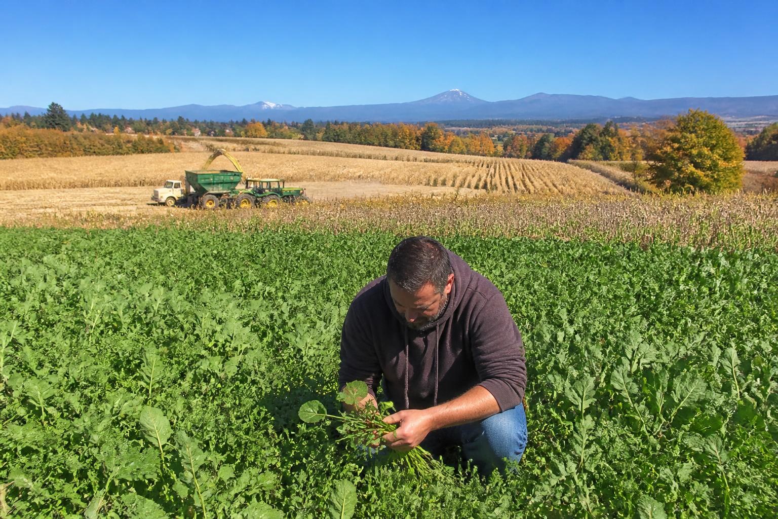 Oregon Producers Eye Pest Management and Input Strategies as Fall Operations Settle - AgroPost