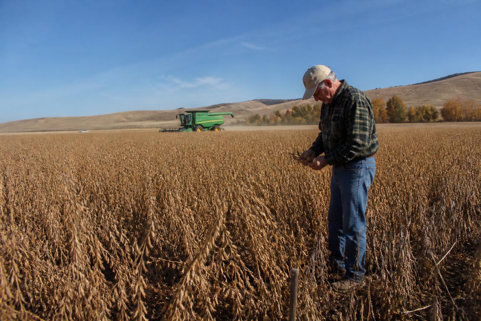Optimizing Idaho Farm Operations: New Digital Tools for Input Management - AgroPost