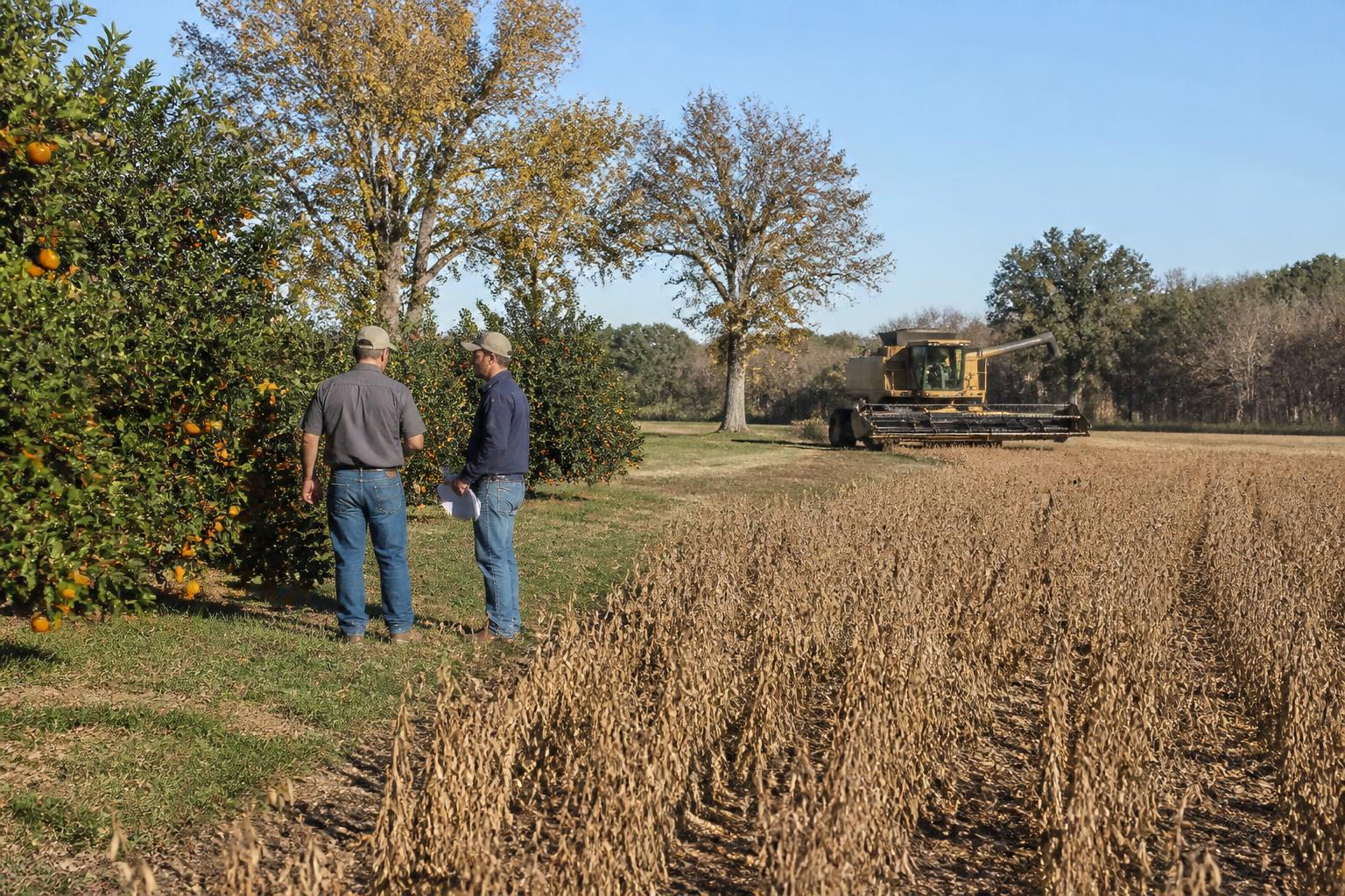 Georgia Agricultural Logistics: Navigating Shifts in Supply Chain Infrastructure - AgroPost
