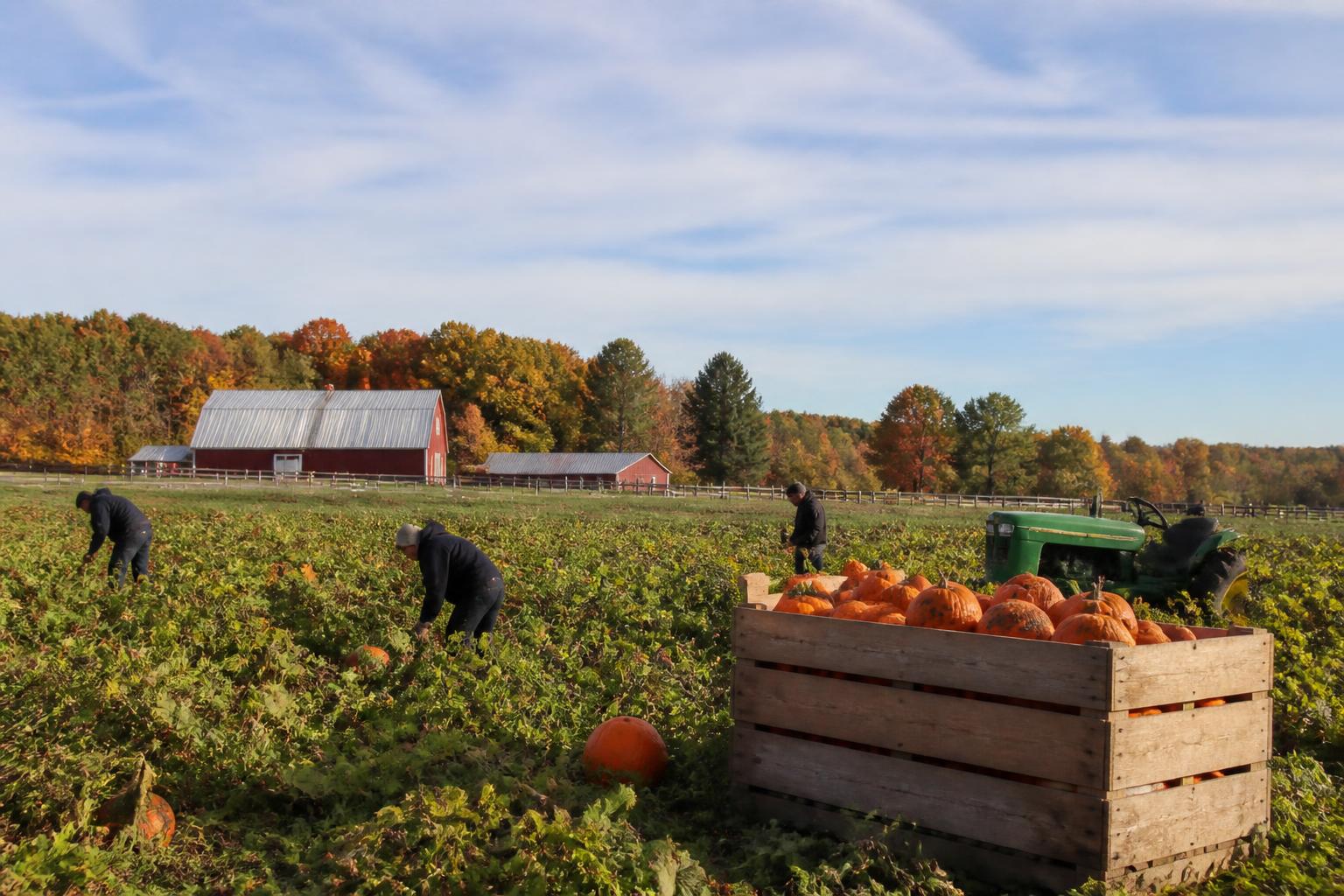 Connecticut Farm Transition Grants: Strategic Capital for Operational Growth - AgroPost