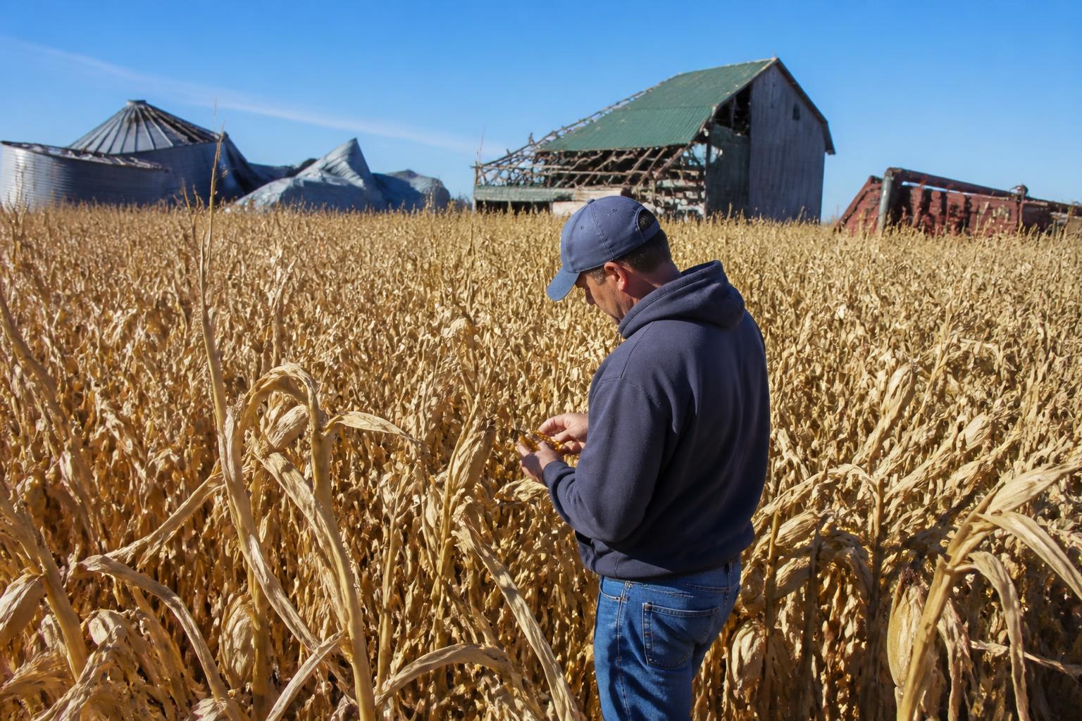 Navigating Market Volatility and Harvest Logistics in South Dakota - AgroPost