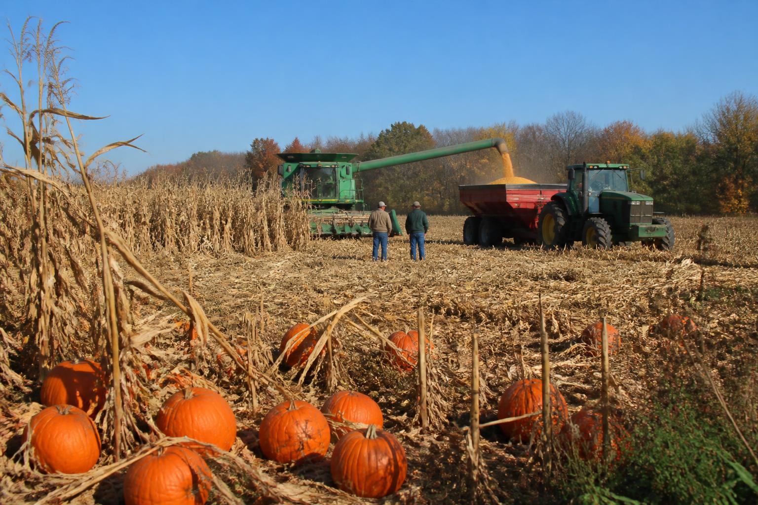 Managing Farm Labor Safety Amid Shifting Regulatory Heat Standards