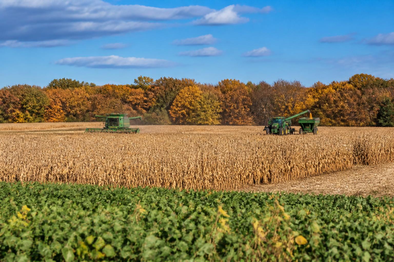 Missouri Harvest Update: Managing Late-Season Crop Protection and Logistics - AgroPost
