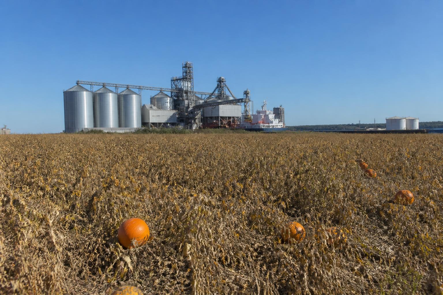 Wisconsin Infrastructure Developments Signal Long-Term Shift for Regional Ag Logistics