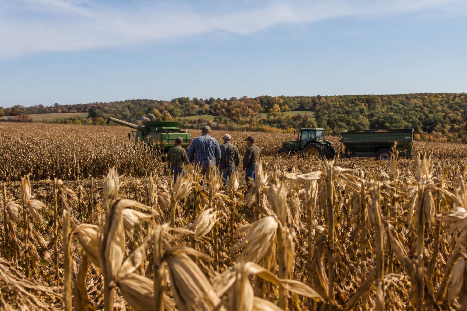 Alabama Harvest Logistics: Navigating Field Access and Transport Efficiency - AgroPost