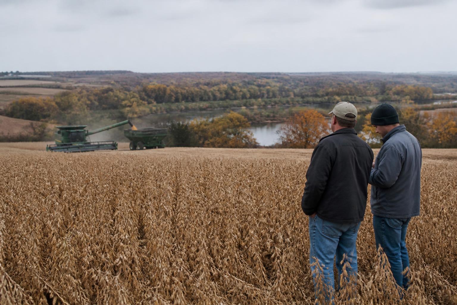 Mississippi Harvest Logistics: Navigating Evolving River Conditions and Crop Quality - AgroPost
