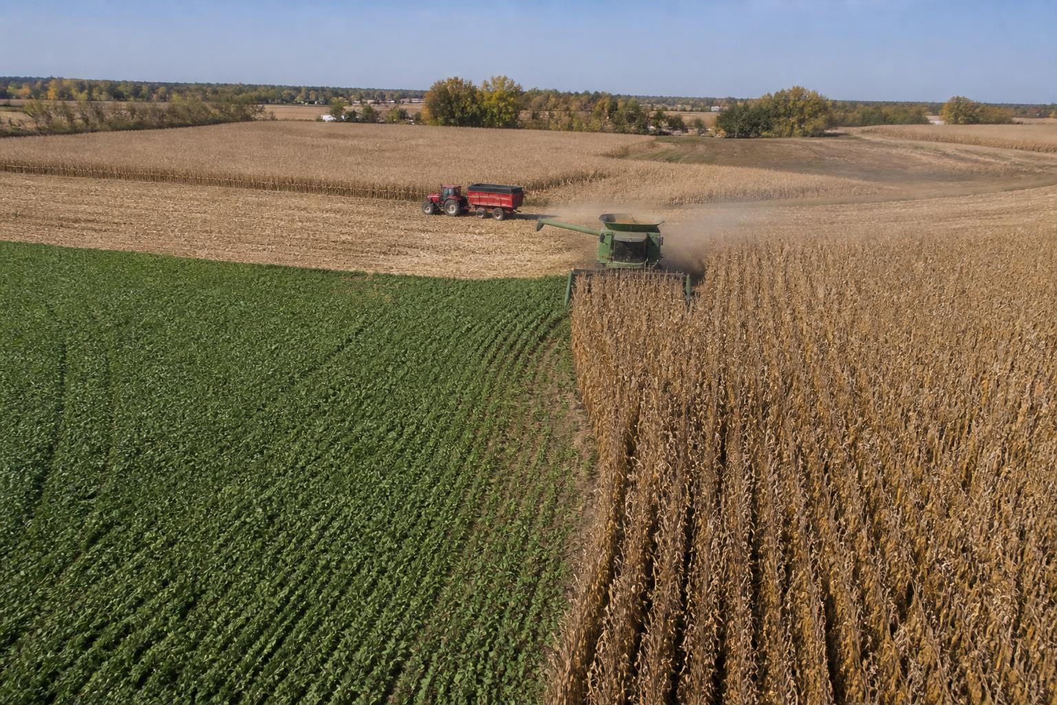 Nebraska Rail and Export Logistics Update: Navigating Peak Fall Harvest - AgroPost