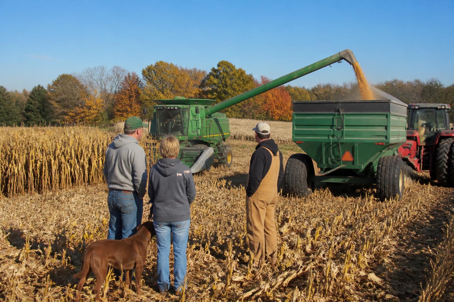 Illinois Ag Landscape: Balancing Input Costs and Market Uncertainty This Fall - AgroPost