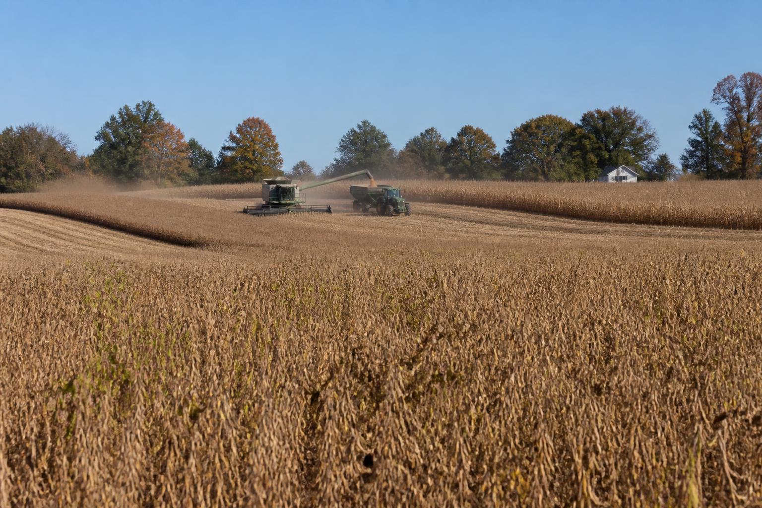 Delaware Crop Protection and Market Outlook: Navigating Fall Pressures - AgroPost