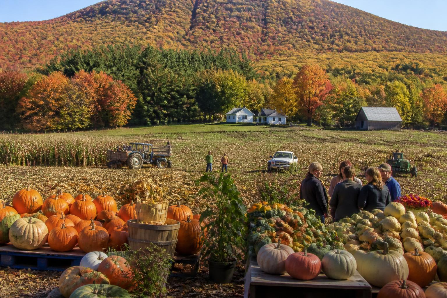 Fall Market Outlook: Resilience and Operational Efficiency in New Hampshire Agriculture - AgroPost