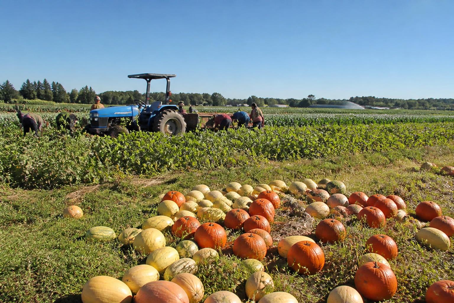 Florida Logistics and Input Readiness as Fall Season Progresses - AgroPost