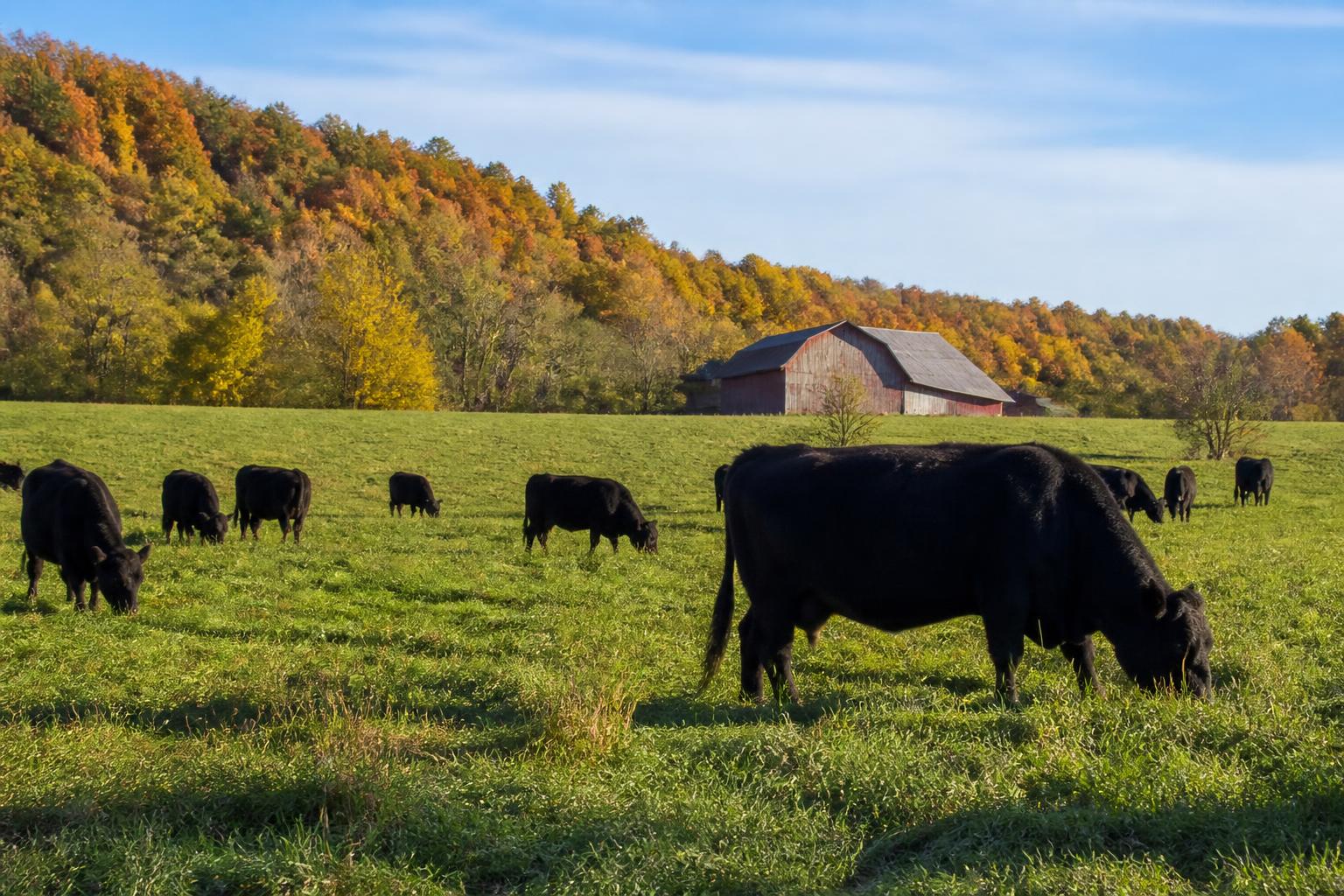 Maryland Ag Update: Regulatory Flexibility and Seasonal Field Adjustments - AgroPost