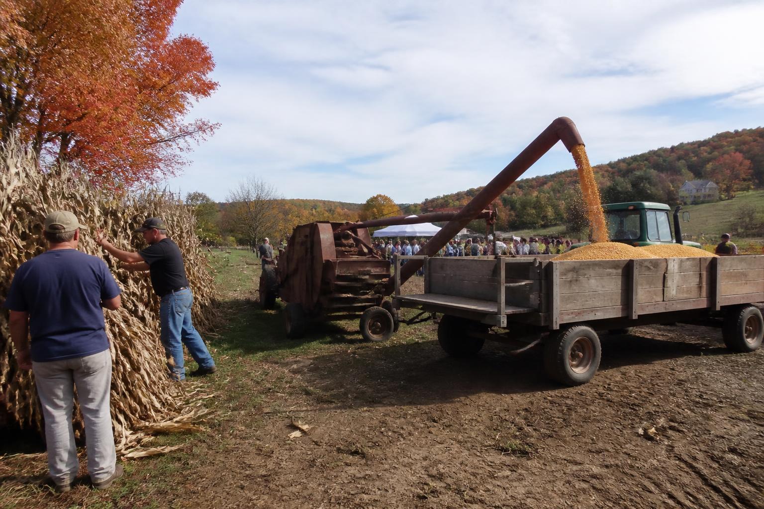 Managing Input Costs and Operational Safety as New Jersey Harvest Peaks - AgroPost