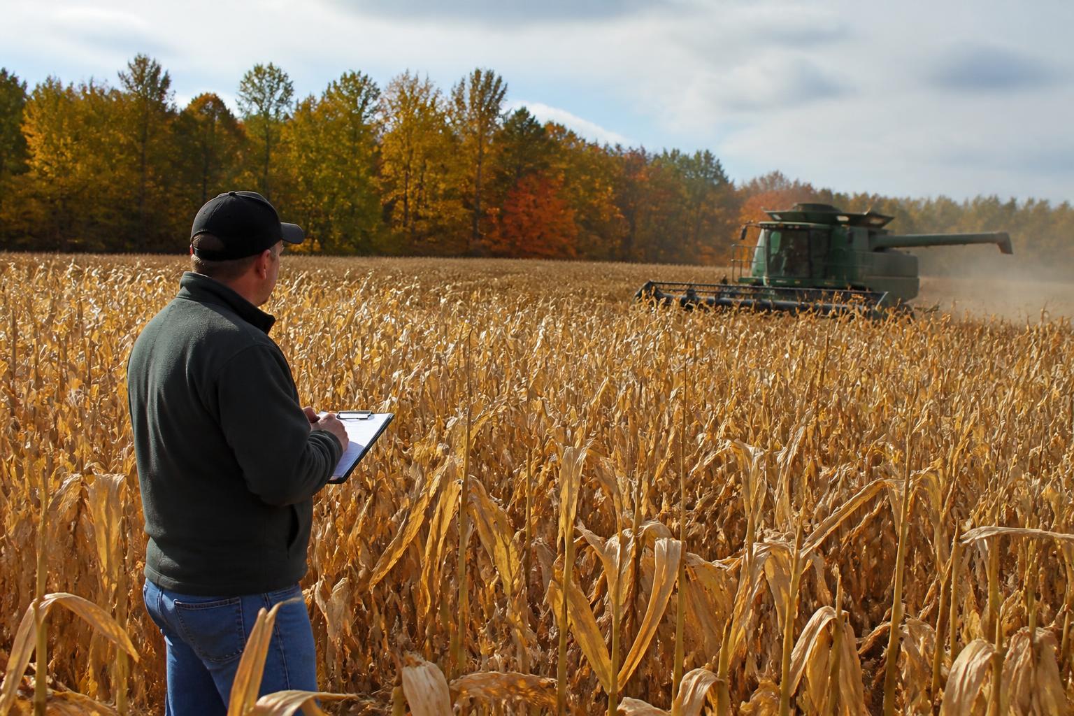 Minnesota Logistics: Managing Harvest Throughput Amid Regional Shifts - AgroPost