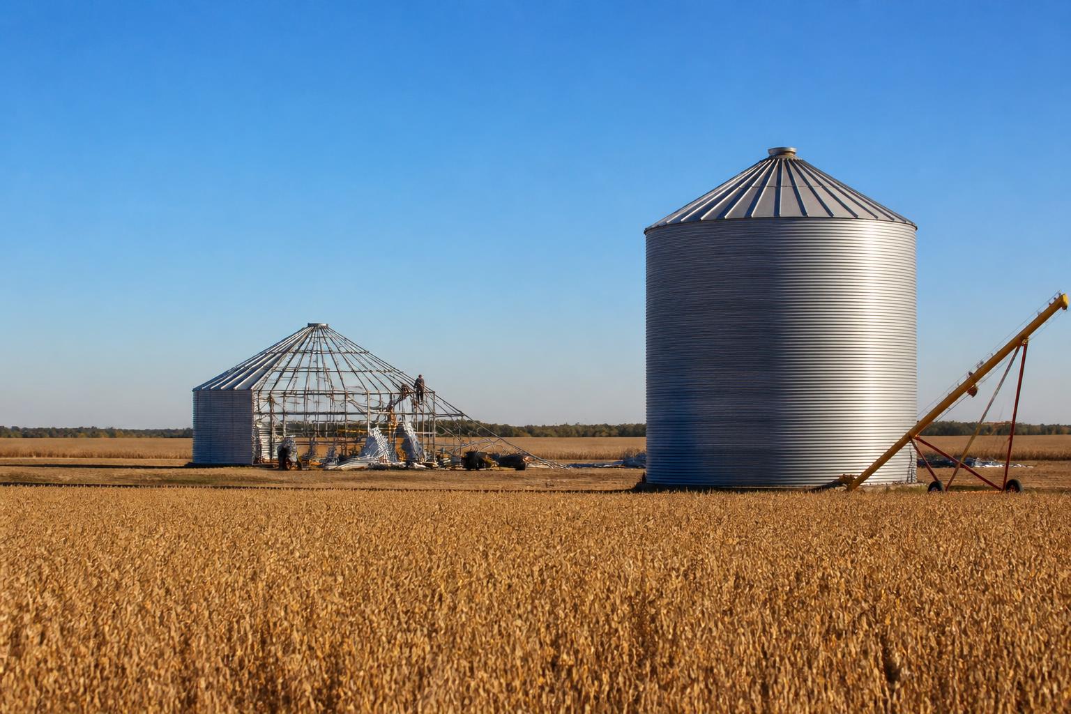 North Carolina Logistics: Managing Seasonal Harvest Flow Amid Infrastructure Delays - AgroPost